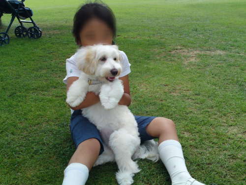 小学校2年生のおねえちゃんとメアリーちゃん